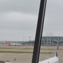 와플마켓 | 홍콩공항 제2터미널 / 딤딤섬 홍콩 몽콕점 후기 / 마미팬케이크 에그와플 / 실크 버블티 / 레이디스마켓