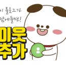 도그픽 이미지