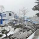 양양 로데스 풀빌라 이미지