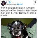 몸뚱아리 - 수원시 장안구 송정로60번길 12 | 몸뚱아리