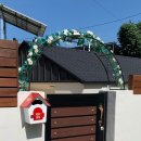 스테이유을 이미지