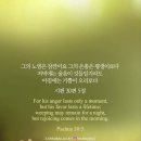 오늘의 &#39;영어성경 사진&#39;(650강) “하나님의 노여움과 은총”(시편 30편 5절) 이미지