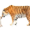 당구인당구클럽 이미지