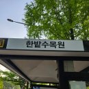 언택트세이프? | [기차] 대전 나들이(고흐 전시, 한밭 수목원, 닭갈비 제작소, 성심당)