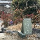 당진시 당진중앙1로 | 당진 케이크맛집 카페 살라지살리, 이틀 연속 다녀온 솔직후기