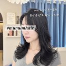 헤어머뭄 | 양천향교역미용실 샵머뭄헤어 2026 KCIA 한국소비자산업평가 헤어 부문 최종 선정