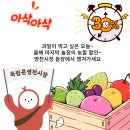 벼락청과