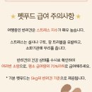 펫엔독