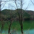 우리메밀막국수 이미지