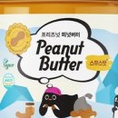 땅콩 연구소