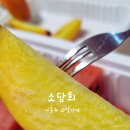 소담희