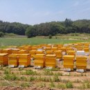 동춘농장 이미지