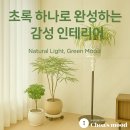 작은정원 | 부천 감성 화초숍 작은정원 – 초아가 믿고 맡긴 플랜테리어의 모든 것