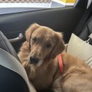 24시우리동네놀이터 이미지