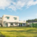 오멍가멍 애견카페&호텔 이미지