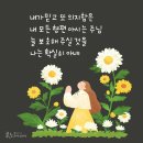 미니스토리 이미지