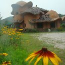 산너머남촌 이미지