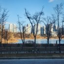 평택시 배다리저수지2 이미지