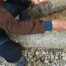 수한농장 이미지