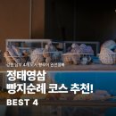 ㈜동해샘물 | 정태영삼 빵지순례 코스 추천! 우리 곁에 있었던 따뜻한 빵집 이야기 :강원랜드 사회공헌재단