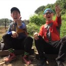 시루봉산성 | [대전] 보문산 등산 후기_등린이도 가볍게 오르기 좋은 산 (난이도 하)