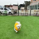 메르몽