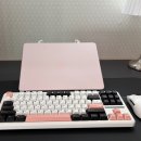 11500-13-42-102 | 책상, 독거미 키보드 f87pro 황축, 초경량게이밍 무선마우스, 테무 13인치 노트북 파우치, 거치대 등)