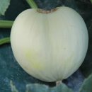 병환농장 이미지