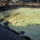 피자캐리어 이미지