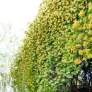 건들바위네거리 이미지