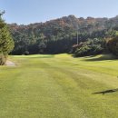 소피아그린 이미지