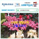 스마트해법수학 티스토리