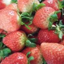 손혁농장 이미지