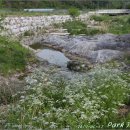 본2리마을회관 이미지