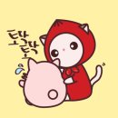 로지동물의료센터 네이버블로그