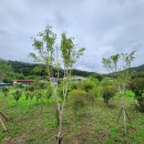 내남농장 이미지