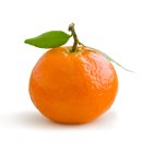 과일아재
