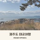 동광카인테리어 | 제주도 태교여행 코스 2박 3일 일정 숙소