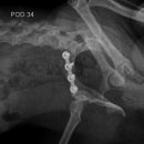 단비동물병원 이미지