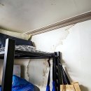 파리바게뜨(도통점) | 집에서 물이 샌다면 당황하지 말고 파주누수탐지 해결사 찾기