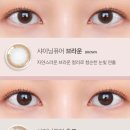 샤이닝짐 - 여주시 세종로 396-4 | 오렌즈 한달용 내눈처럼 자연스러운 렌즈 샤이닝퓨어초코 데일리렌즈 12.6mm