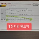 에이스점핑다이어트클럽