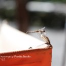 태광세차장 이미지