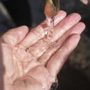 약천 산책로 이미지