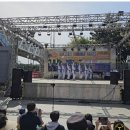 백마태권도 이미지