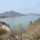 청풍랜드 | 제천 당일치기 벚꽃 여행 | 청풍랜드 충주호 벚꽃 후기 (전망 데크)