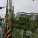 덕벌경로당 Daum카페