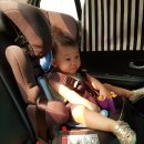 퀼트쥬니어 이미지