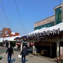 개 대신 염소 이미지