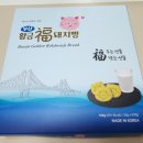 부산 황금복돼지빵 후기 | 부산 여행 선물 부산 기념품 추천
